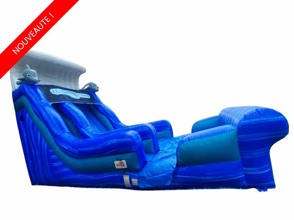 Toboggan dauphin