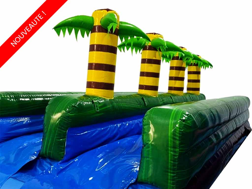 Ventriglisse tropical